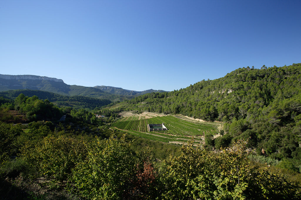 Red Wine Joana-Cellar San Rafel