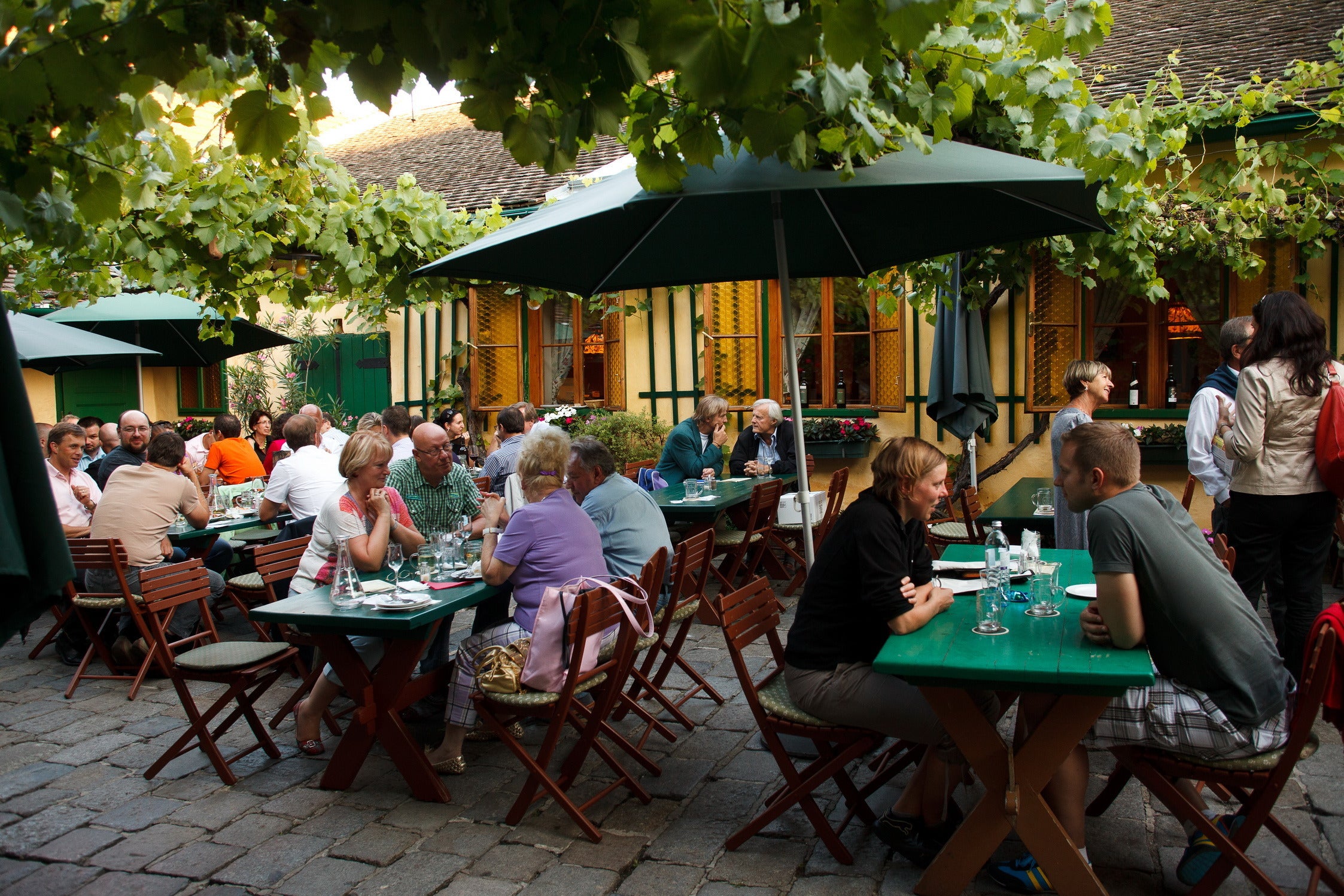 Alcohol-Free Rose Wine-Mayer AM Pfarrplatz
