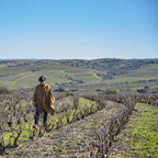 Red Wine Cabernet Franc-Calcu