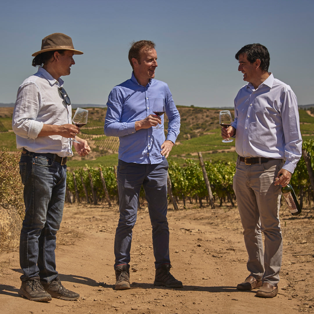 Red Wine Cabernet Franc-Calcu