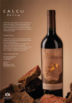 Red Wine Fotem | Calcu | Coastal Cabernet, Structured & Expressive