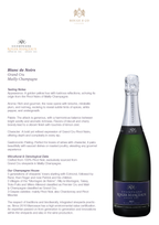 Champagne Blanc de Noirs-Roger Manceaux