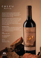 Red Wine Fotem | Calcu | Coastal Cabernet, Structured & Expressive
