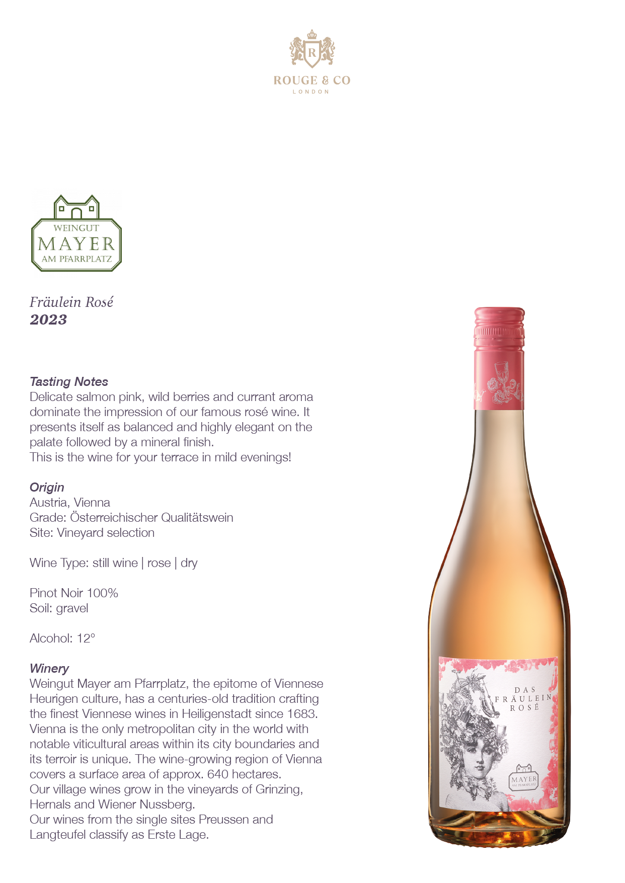 Rose Wine Fraulein -Mayer AM Pfarrplatz