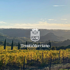 White Wine Montemarte | Tenuta Morciano | Refined, Textured Sauvignon Blanc from Umbria