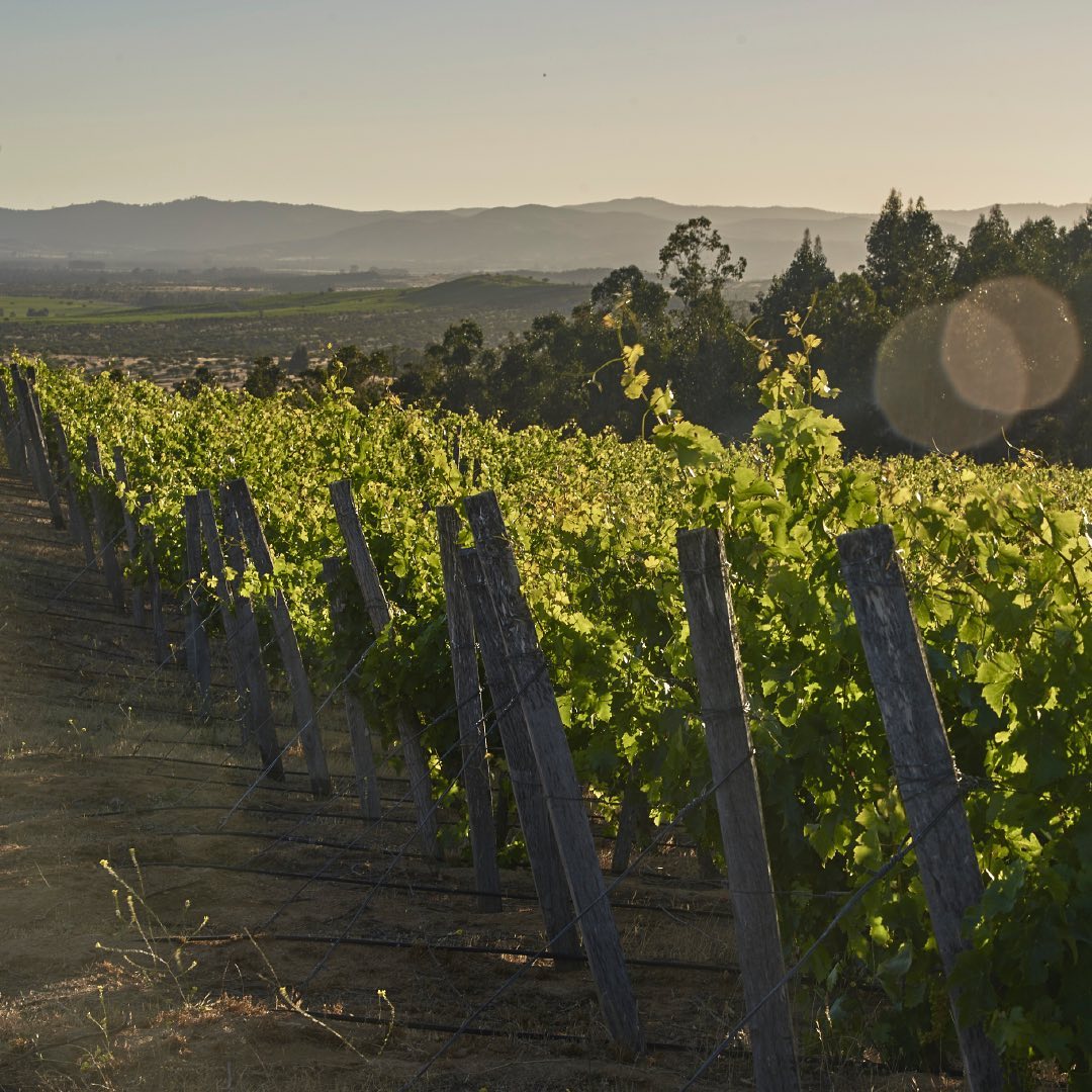 Red Wine Cabernet Franc-Calcu