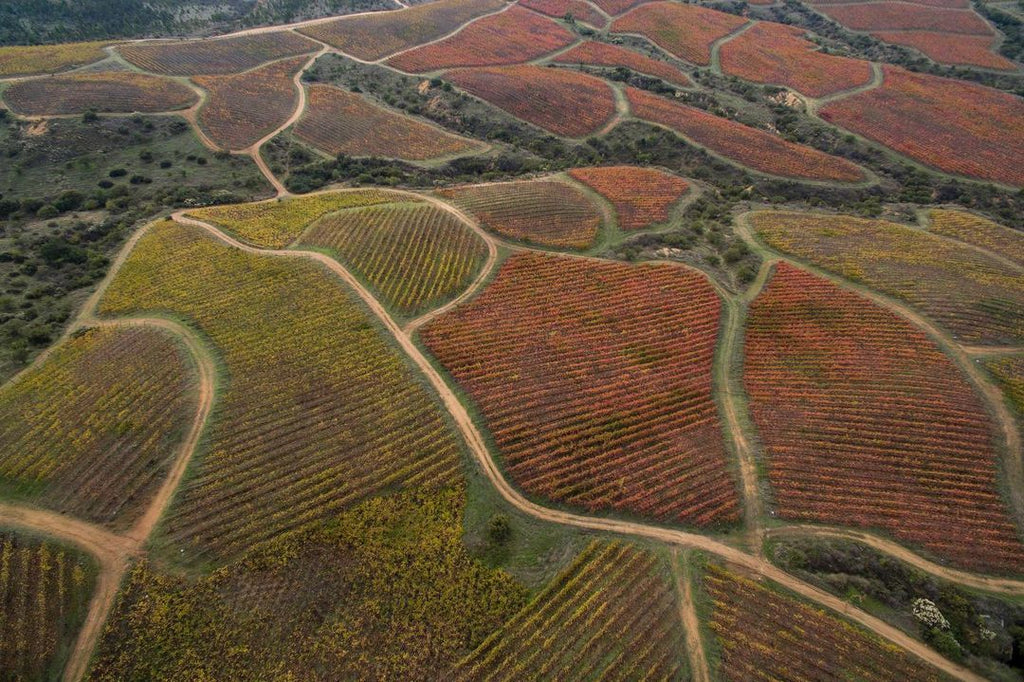 Red Wine Cabernet Franc-Calcu