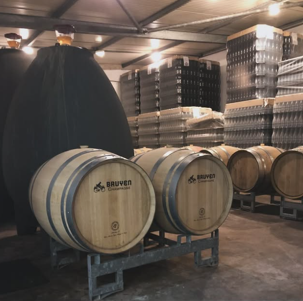 Champagne 100% Meunier-Bruyen