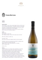 White Wine Arena-Tenuta Morciano