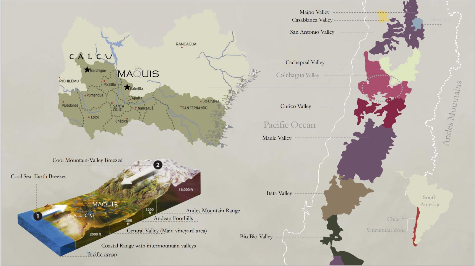 Red Wine Cabernet Sauvignon-Calcu
