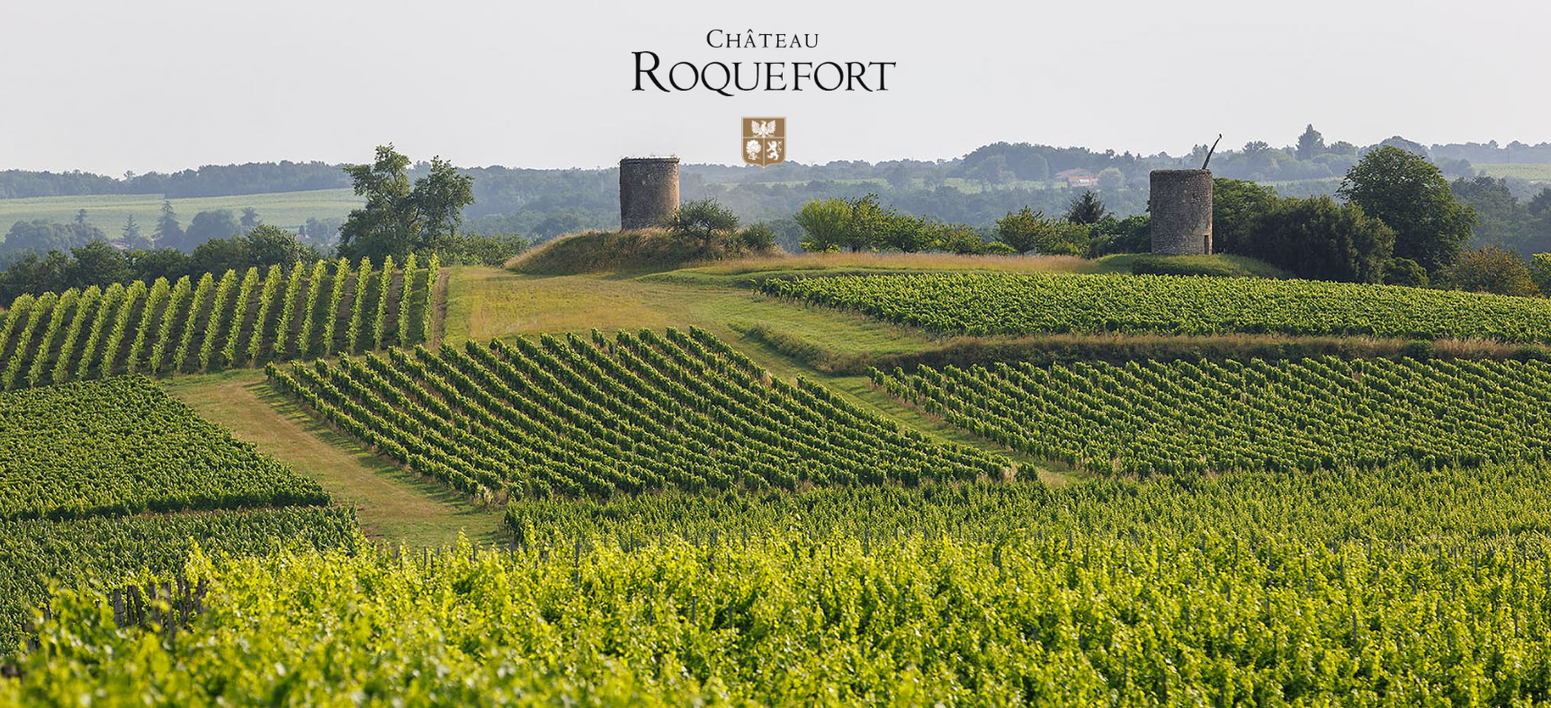 Red Wine Grande Cuvee-Chateau Roquefort