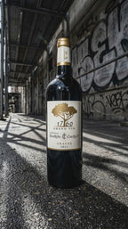 Red Wine Graves Rouge 2015-Chateau Tourteau Chollet