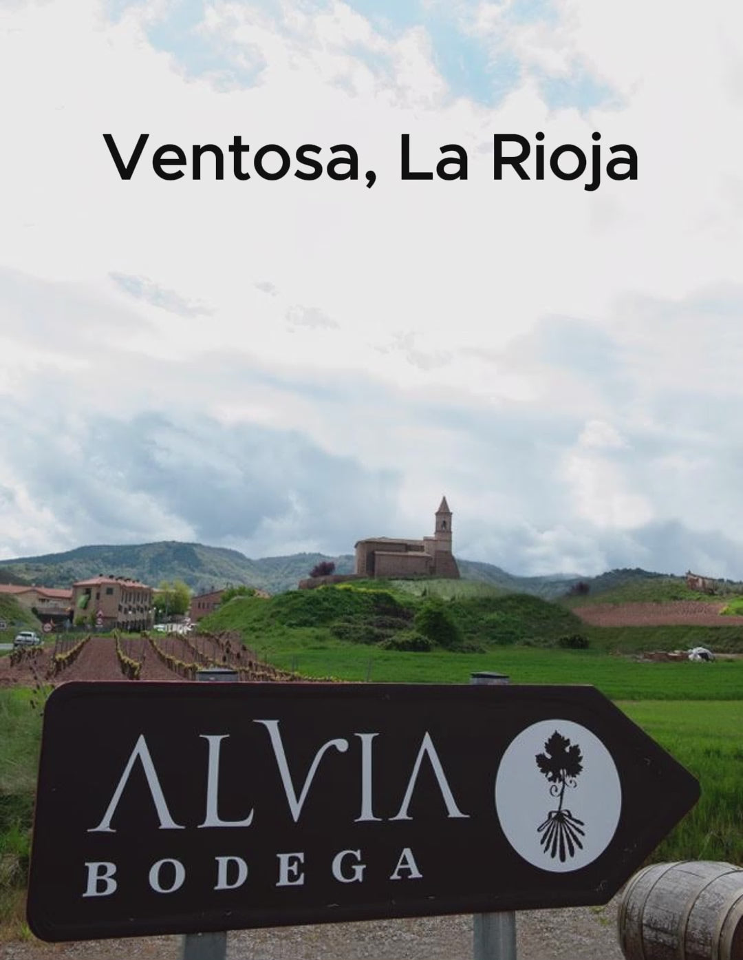 Red Wine Mileto Crianza-Bodegas Alvia