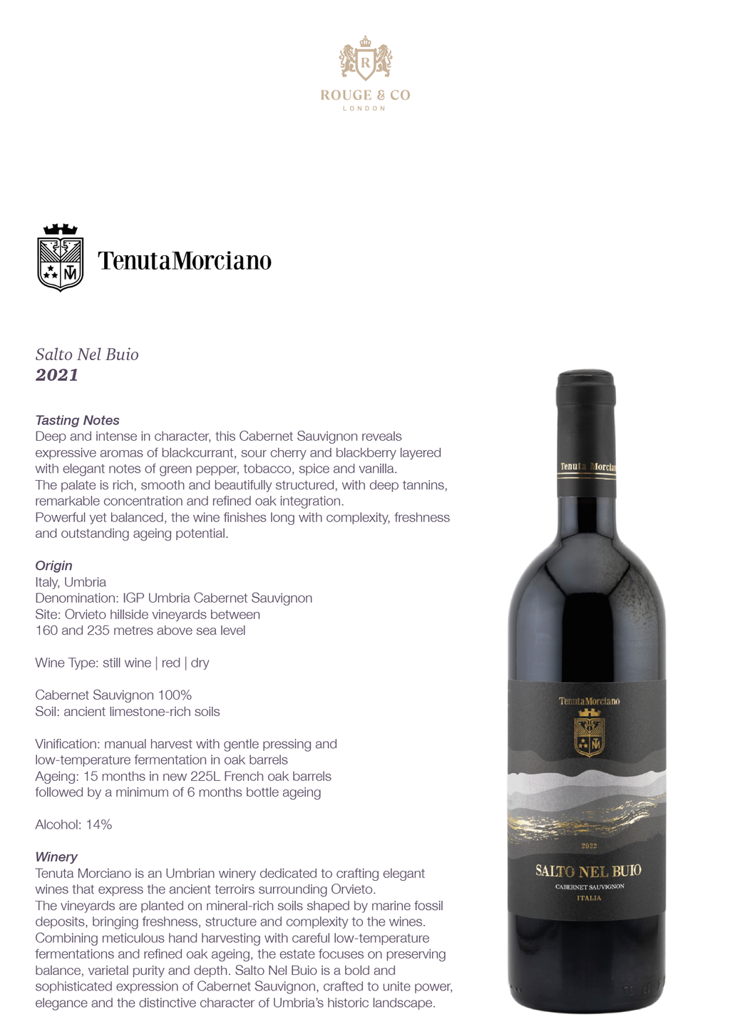Red Wine Salto Nel Buio-Tenuta Morciano