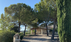 Red Wine Pagliano-Tenuta Morciano