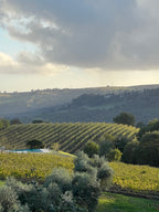 Red Wine Pagliano-Tenuta Morciano
